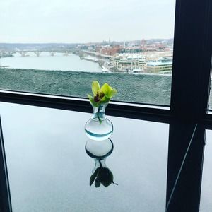 Meet your Posher, Deeba